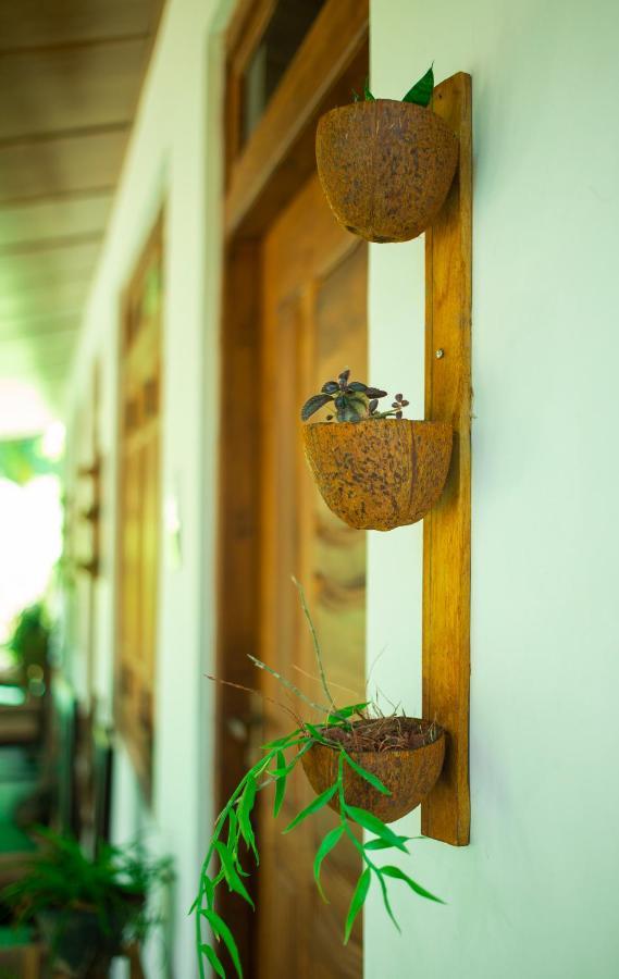 Dambulla Kings Inn Exterior photo